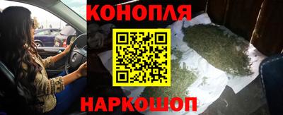 сатива Бузулук