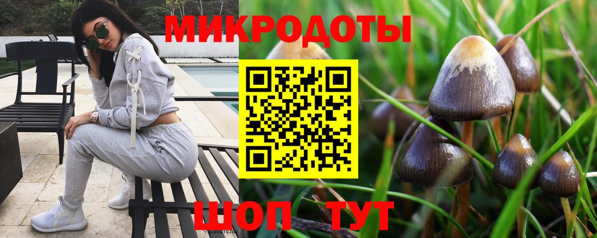 Галлюциногенные грибы Psilocybe Шадринск